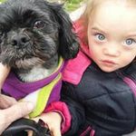 Margaret McGovern - @mcgovernmargaret - Instagram