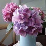 Margaret McGovern - @margaret.mcgovern.560 - Instagram