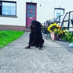 Margaret Mcgovern - @margaret.mcgovern.376 - Instagram