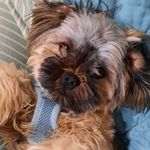 Margaret McGovern - @7maggie1964 - Instagram