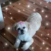 Margaret Mcgovern - @margaret.mcgovern - TikTok