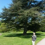 margaret mcgovern - @margaretmcgovern51 - Instagram