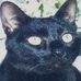 Margaret Messick - Facebook