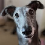 Margaret - @margaretthemix - Instagram