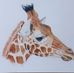 Margaret Munn-Monger - Facebook