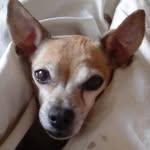 Margaret Monk - @margaret.monk.547 - Instagram