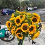 Margaret Morcom - @margaret_morcom - Instagram