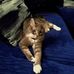 Margaret Mucha - Facebook
