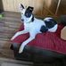 Margaret Mucha Spoon - Facebook