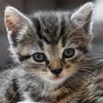 @margaret___nee7zu9f - Instagram