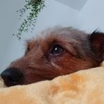 Margaret Needham - @margaret.needham.908347 - Instagram