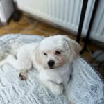 Margaret Needham - @sterlandburtonfamily - Instagram
