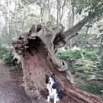 Margaret Needham - @emag408 - Instagram