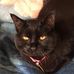 Margaret Nero - Facebook