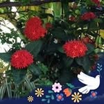 margaret niles - @ma.5414 - Instagram