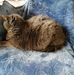 Margaret Null - Facebook