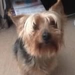 Margaret okeefe - @margaretokeefe53 - Instagram