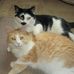 Margaret Oswald - Facebook