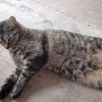 Margaret Oswald - @moswald116 - Instagram
