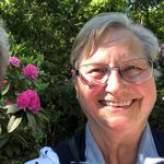 Margarete Oswald - @margareteoswald7 - Instagram