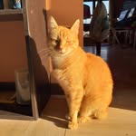 Margareth Paolini - @margarethpaolini - Instagram