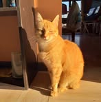 Margareth Paolini - Facebook