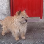 Margaret Parsons - @parsons_margaret - Instagram