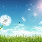 Margaret Patel - Facebook