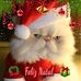 Margareth Peres - Facebook