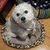 Maggie Persic - Facebook