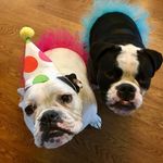 Winston Margaret Peyton Erber - @winstonerber - Instagram