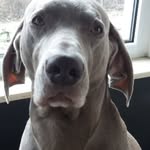 Krzysztof Piotrowski - @margaretha.piotrowski - Instagram