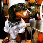Margaret Piotrowski - @maggiewski - Instagram