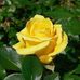 Margaret Pires - Facebook