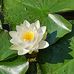 Margarete Pohl - Facebook