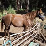 Margaret Ramsay - @margaretsmistymountain - Instagram