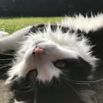 Margaret Ramsay - @ramsay8210 - Instagram