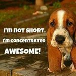 Margaret Rawls - @margaretrawls - Instagram