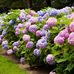 Margaret Rayner - Facebook