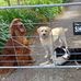 Margaret Rayner - Facebook