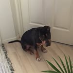 Margaret Redpath - @margiebigsy8 - Instagram
