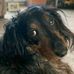 Margaret Redpath - Facebook