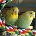 Margaret Renner - Facebook