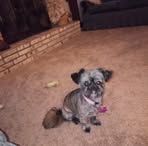 Margaret Ringer - Facebook