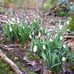 Margaret Roach - Facebook