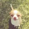 margaretroberts979 - @margaretroberts979 - TikTok