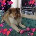 Margaret Rodden - Facebook