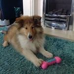 Margaret Rodden - @margaretrodden - Instagram