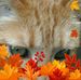 Margaret Rodden - Facebook