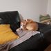 Margaret Roll - Facebook